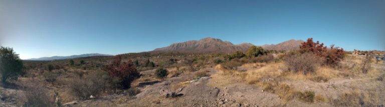 lote